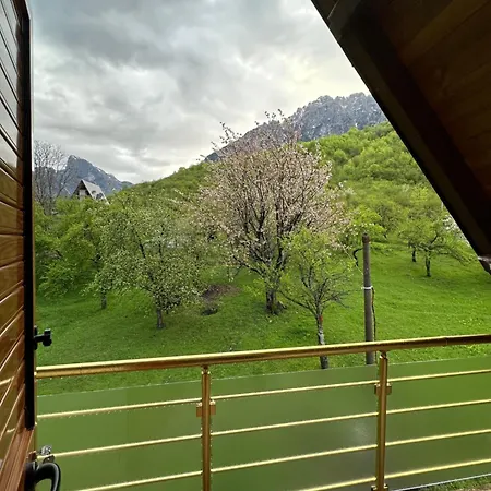 Bujtina Crystal Guest house