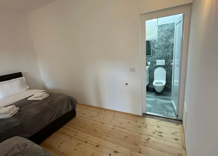 招待所 Bujtina Crystal 泰斯