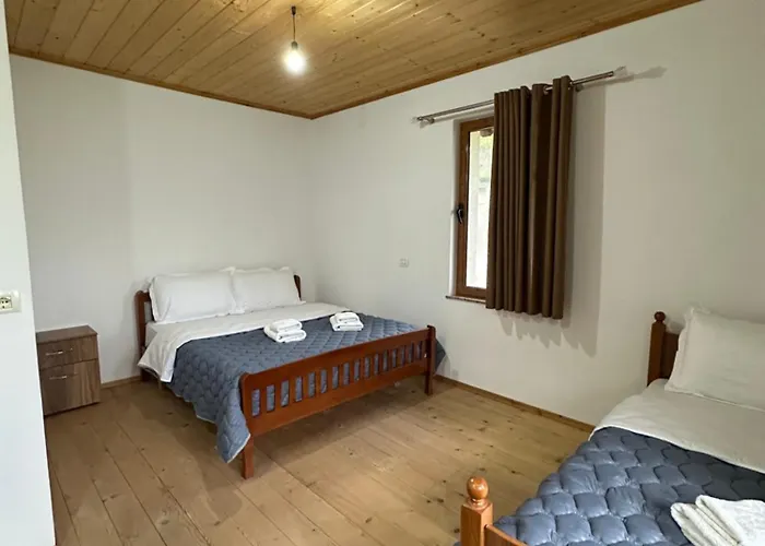 招待所 Bujtina Crystal 泰斯