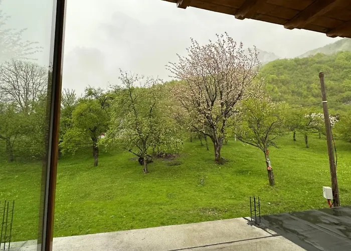 Bujtina Crystal 招待所 泰斯