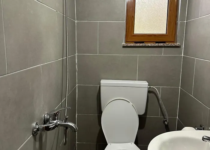 招待所 Bujtina Crystal 泰斯